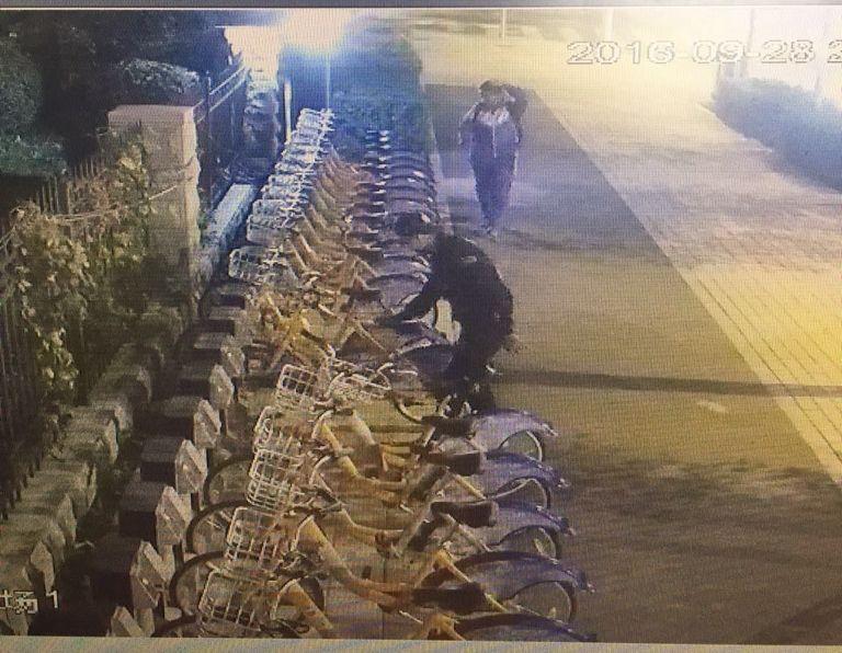 FUN88·乐天堂(中国游)官方网站