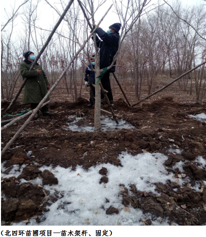 FUN88·乐天堂(中国游)官方网站