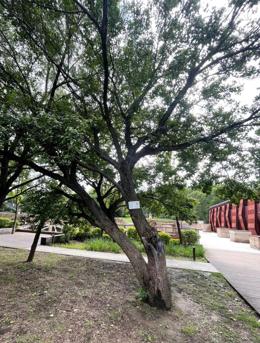 FUN88·乐天堂(中国游)官方网站