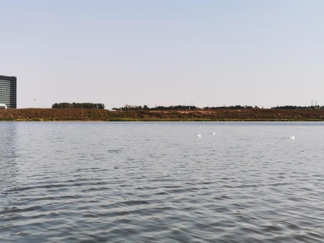 FUN88·乐天堂(中国游)官方网站